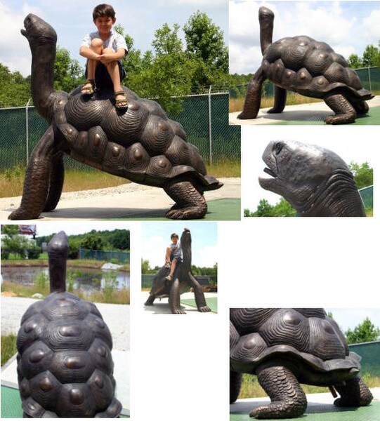 Galapagos Tortoise Water Feature Sculpture Huge Turtle Fountain Bronze